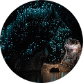 Reviewer Image