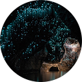Reviewer Image