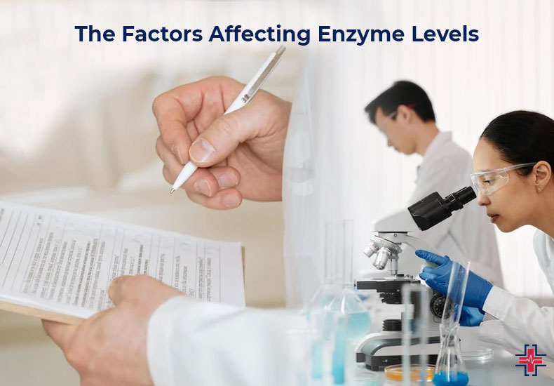 The Factors Affecting Enzyme Levels | ER of Mesquite - Emergency Room