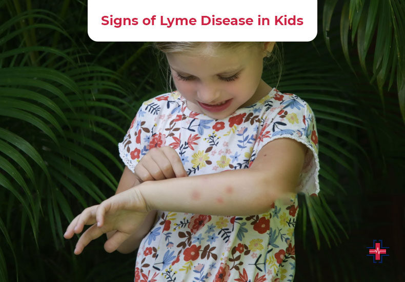 Understanding Lyme Disease A Top Down Overview ER Of Mesquite