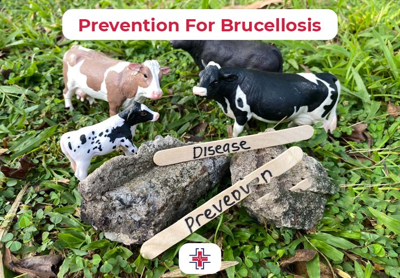 Prevention For Brucellosis - ER of Mesquite
