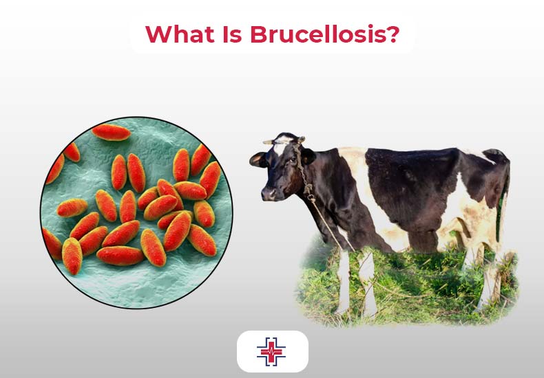 What Is Brucellosis - ER of Mesquite