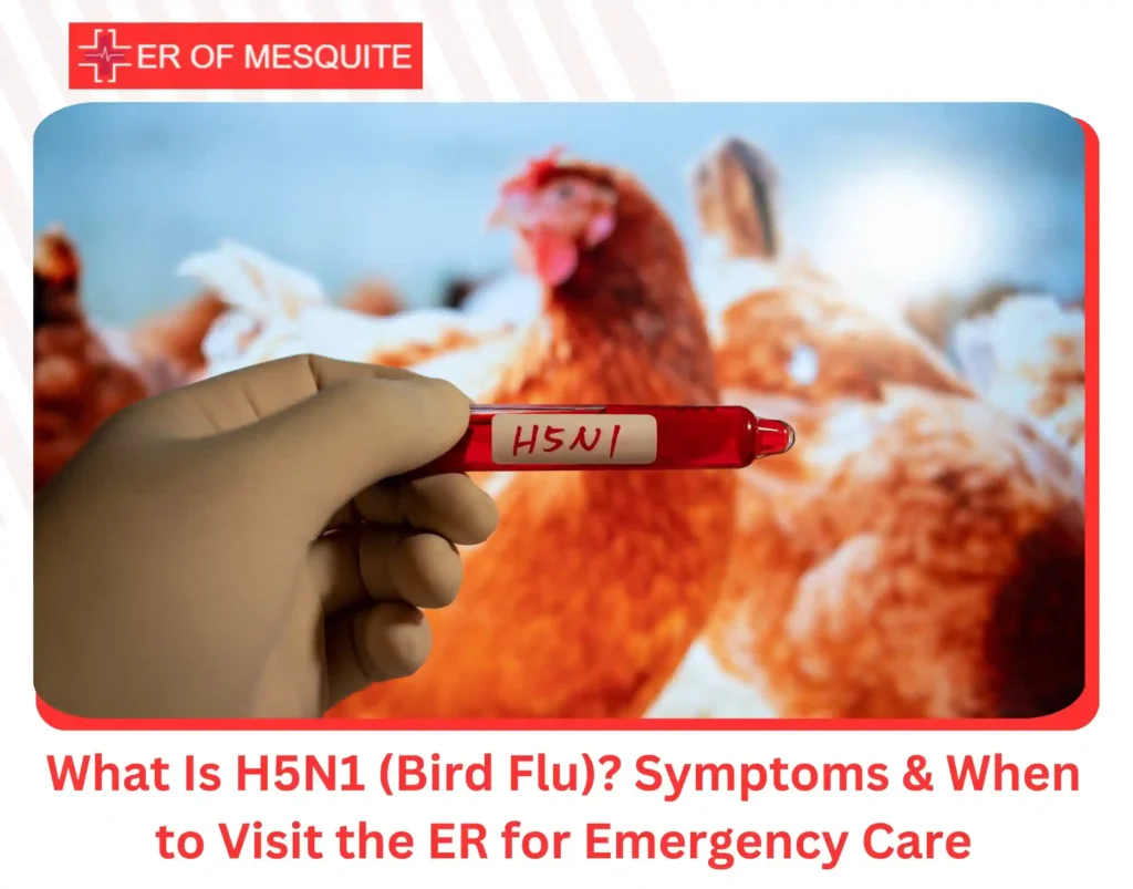 What Is H5N1 (Bird Flu) Symptoms & When to Visit the ER for Emergency Care