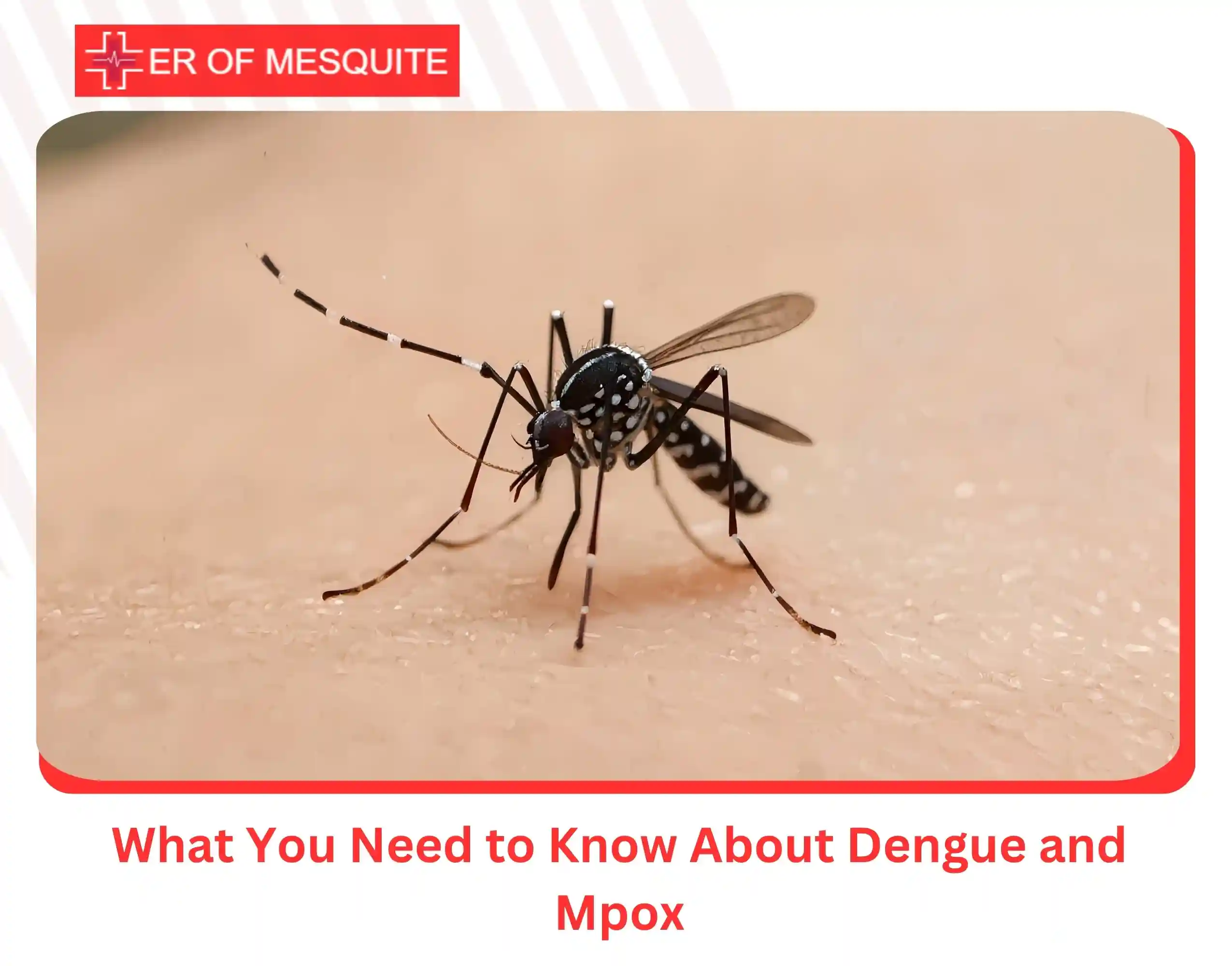 What You Need to Know About Dengue and Mpox