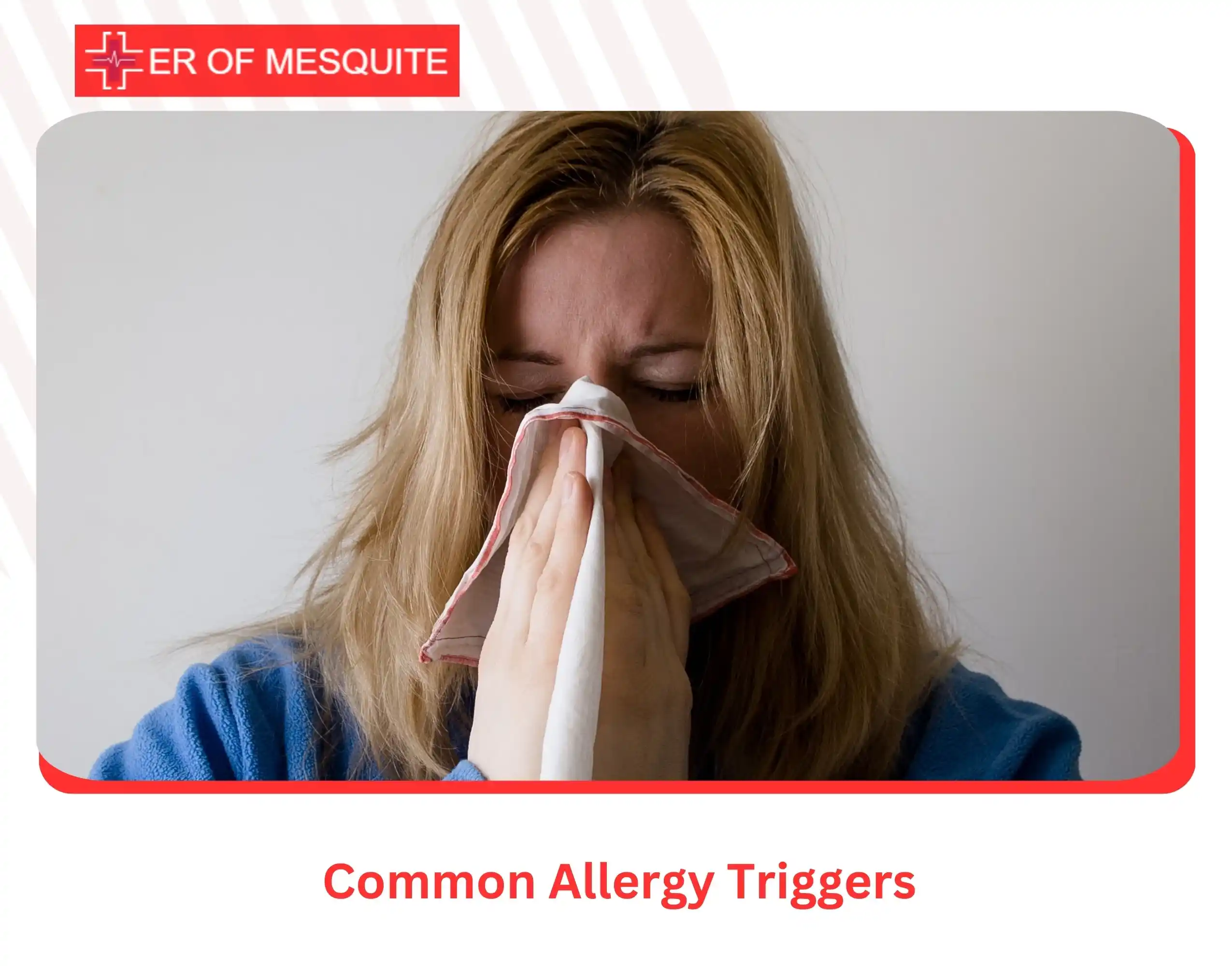 Common Allergy Triggers