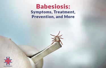 Babesiosis - Symptoms, Treatment, Prevention and More - ER of Mesquite