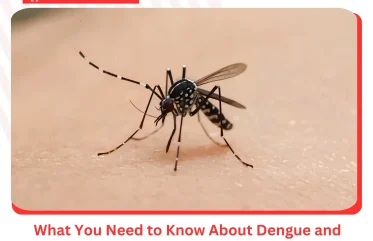 What You Need to Know About Dengue and Mpox